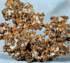 36.gif (5580 bytes)