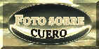 botonfotosobrecuero.jpg (12586 bytes)
